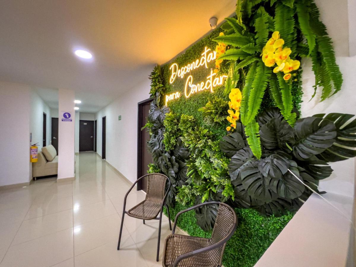 סנטה רוזה דה כבאל Hotel Boutique Veracruz Termales מראה חיצוני תמונה